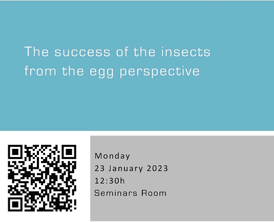 The success of the insects from the egg perspective